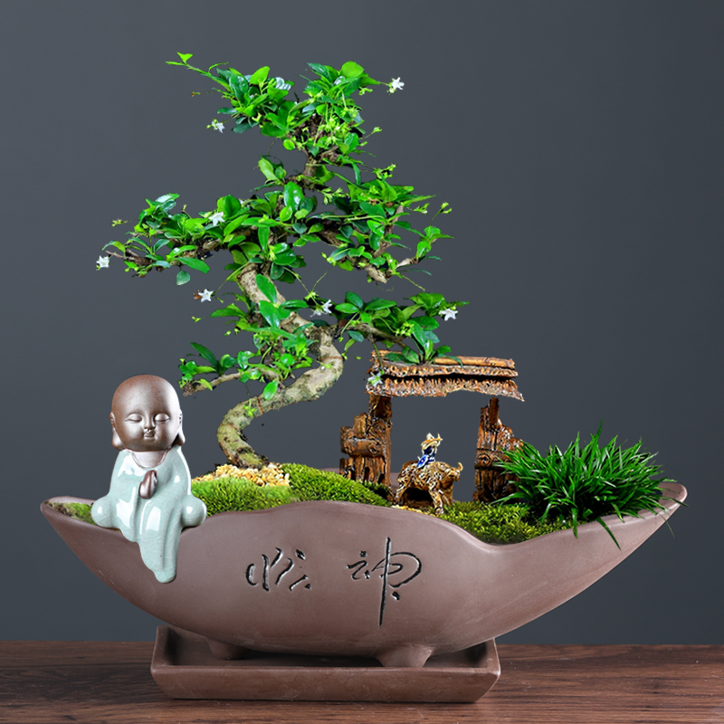 古典紫砂粗陶花盆文竹多肉透气创意陶瓷菖蒲盆栽简约大号特价清仓