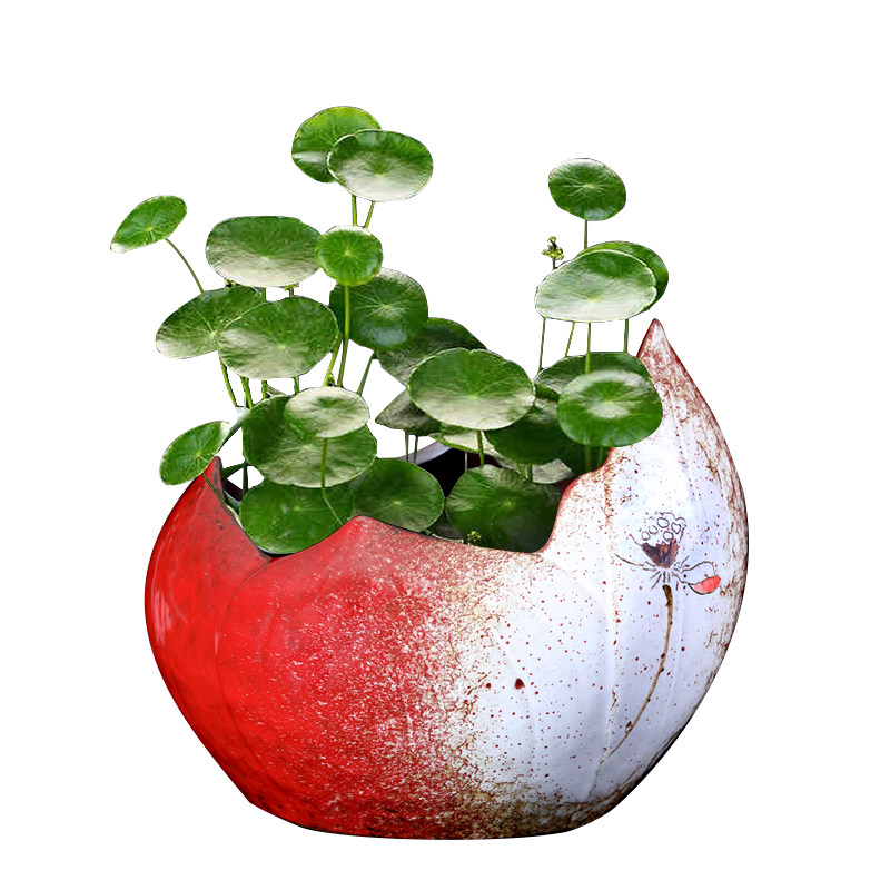 简约水仙花盆 无孔铜钱草睡莲室内园艺多肉 陶瓷艺韵红宝石水培盆,鲜花速递/花卉仿真/绿植园艺,花盆,淘宝优惠券,粉丝福利购,淘宝优惠卷