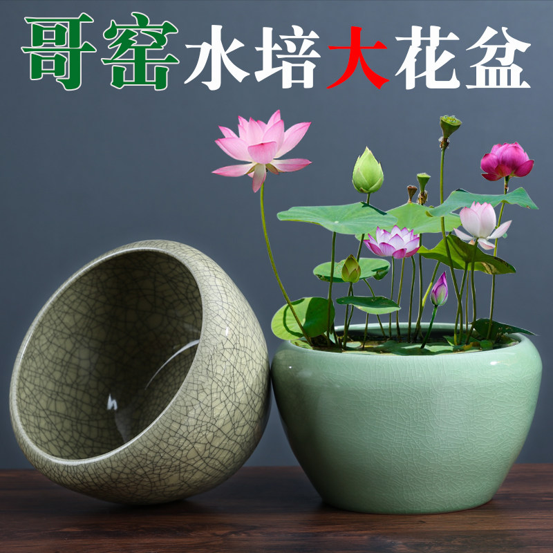 创意哥窑开片水仙花盆陶瓷复古无孔大号水培植物盆栽铜钱草水养盆图片
