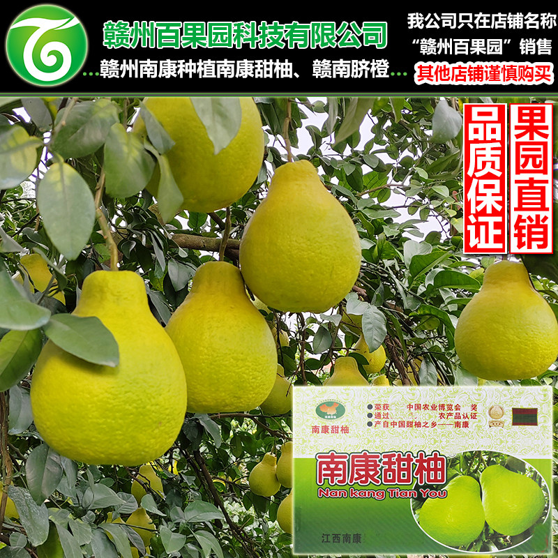南康甜柚斋婆柚18斤纯甜无酸江西特产赣州百果园水果礼品沙田柚子,水产肉类/新鲜蔬果/熟食,柚子,淘宝优惠券,粉丝福利购,淘宝优惠卷