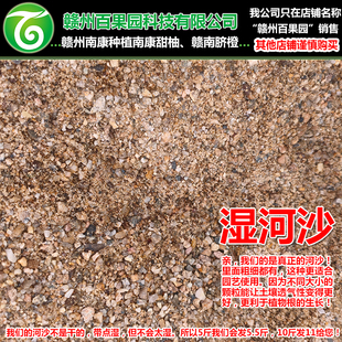 家庭园艺河沙绿植多肉养花种植育苗育种苗木盆栽植物透气养根沙子