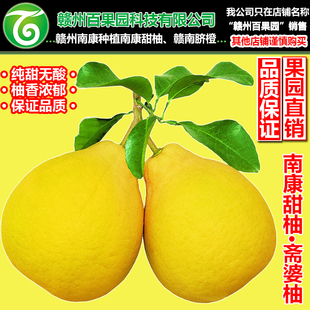 斋婆柚2个纯甜新鲜江西土特产赣州赣南甜柚子文旦沙田柚南康甜柚