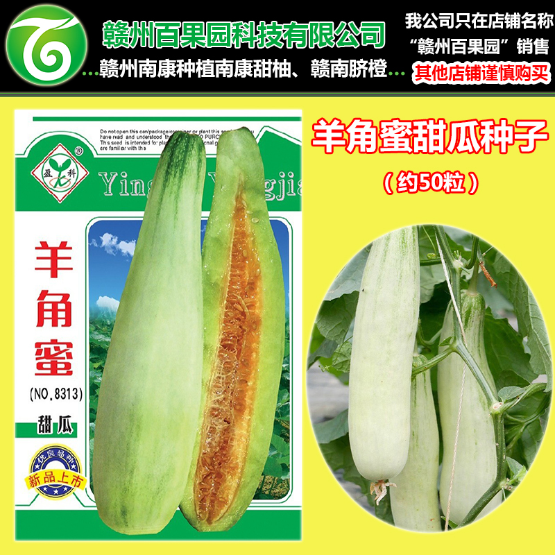羊角蜜甜瓜種子白皮酥瓜