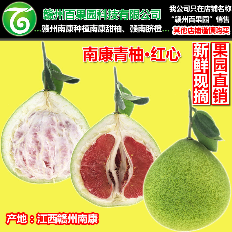 南康青柚红心柚子江西赣州南康