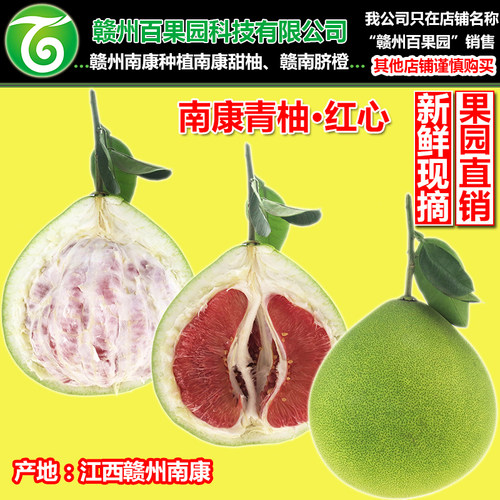 南康青柚红心柚子江西赣州南康