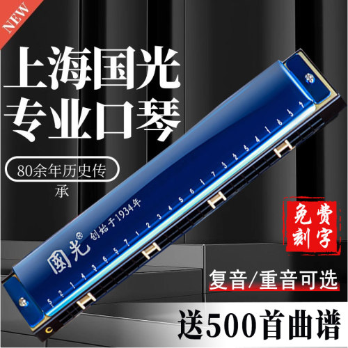 口琴国光28孔复音调宽初学者入门