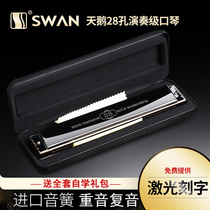Swan 28 hole accent polyphony C harmonica professional performance level advanced beginners children's students adult introduction