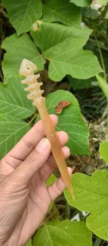 羊角发簪鱼骨发簪手工制作