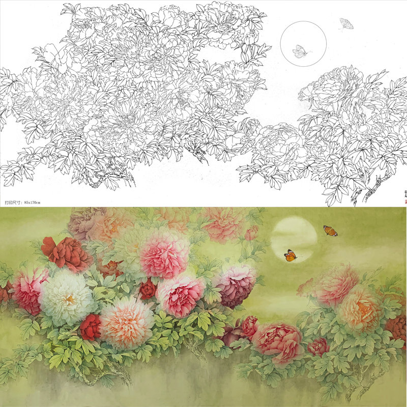 国画工笔画打印白描dy六尺牡丹透