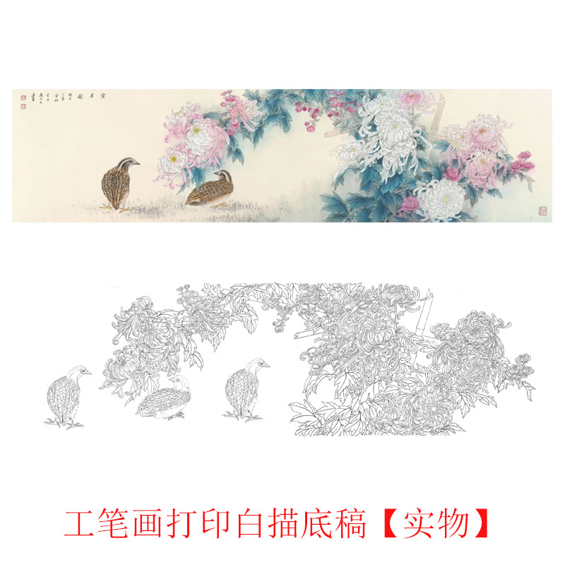 国画工笔画打印白描底稿花鸟横幅初学者临摹勾线过搞上色练习