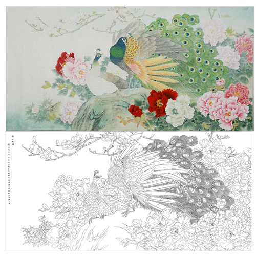 工笔画打印白描底稿横幅孔雀
