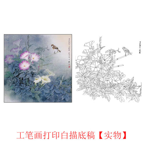 国画工笔画打印白描底稿花鸟临摹