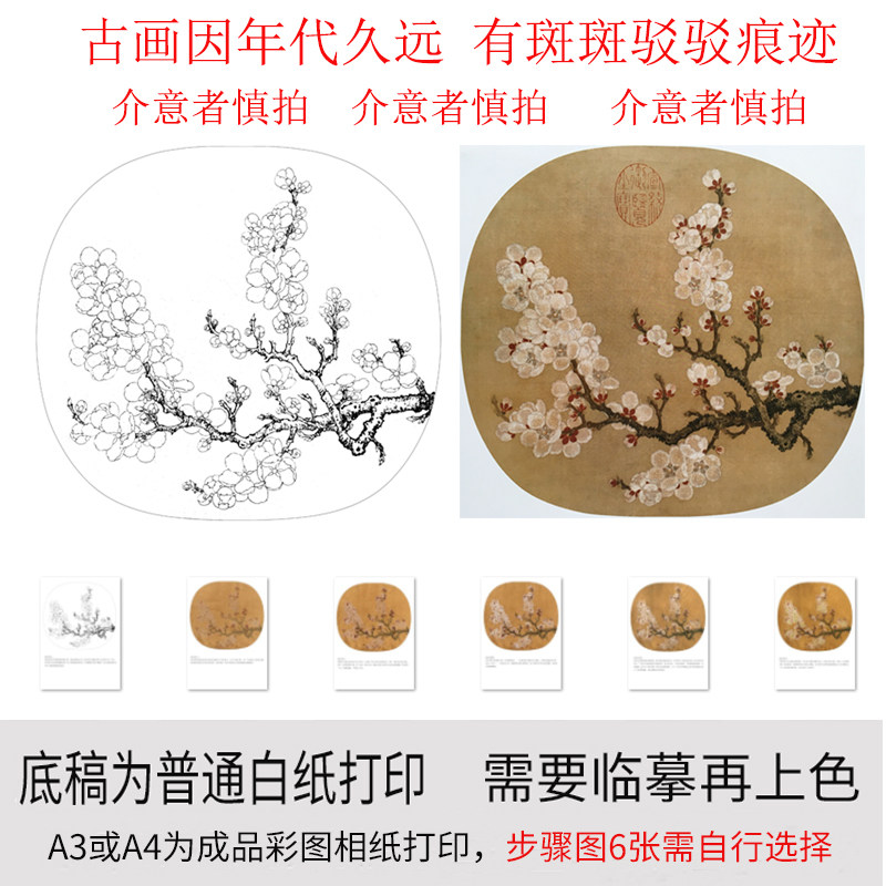 有步骤图工笔画打印白描底稿宋画赵昌杏花图初学者临摹勾线练习