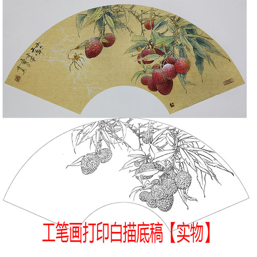 工笔画打印白描底稿龚雪青扇面荔枝高清线稿初学者临摹上色范本