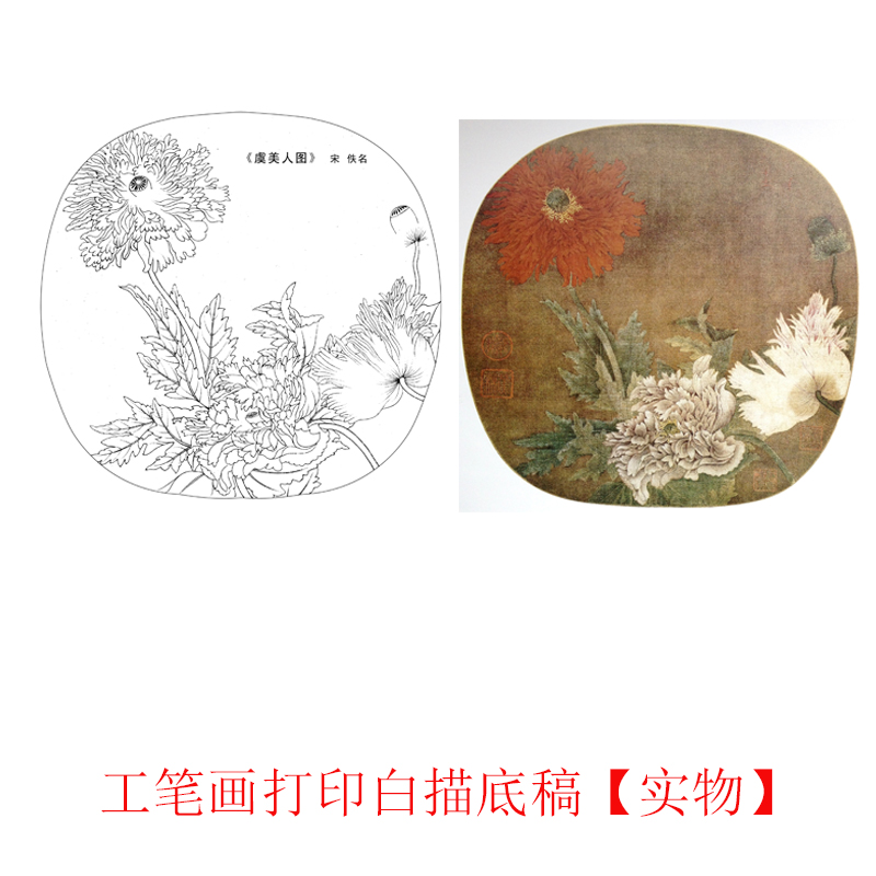 工笔画打印底稿宋画《虞美人图》临摹初学者线描宣纸过稿素材