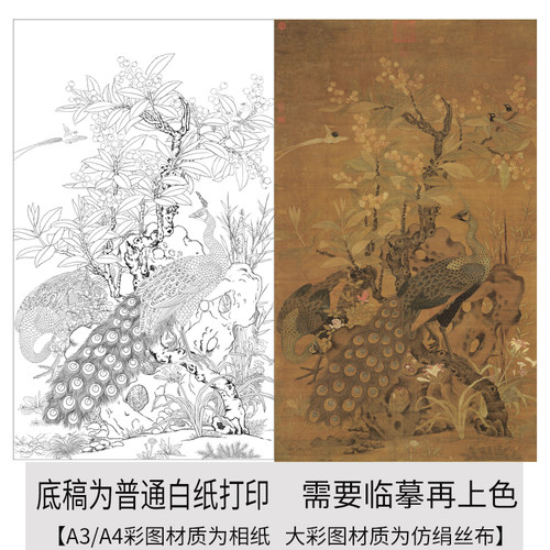 工笔画白描底稿孔雀图