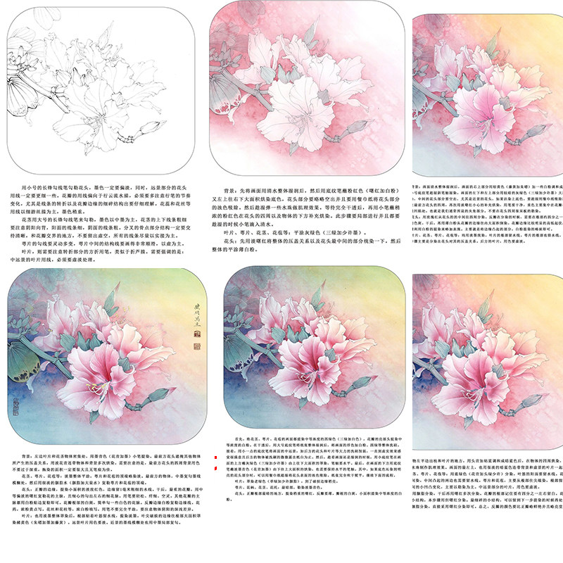 工笔画白描打印底稿圆形团扇花鸟紫荆花初学者临摹透稿勾线练习