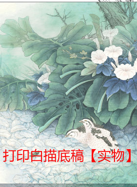 国画工笔画打印白描初学者临摹透