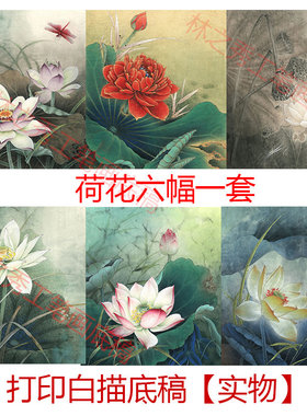 工笔画白描底稿荷花小品初学临摹