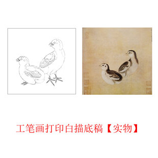 工笔画打印底稿宋画李迪鸡雏待饲图临摹初学者线描宣纸过稿素材