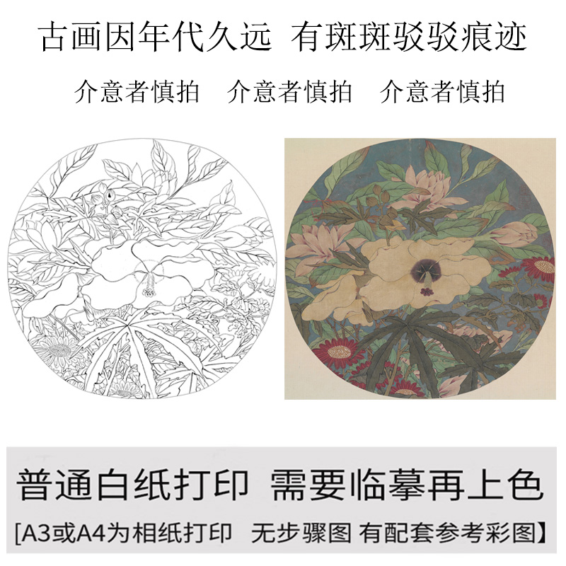 国画工笔画打印白描底稿圆形秋花图高清线描初学者临摹过稿练习