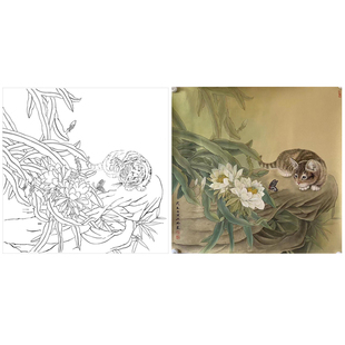 国画工笔画打印白描底稿方形动物小猫初学者临摹勾线过稿上色