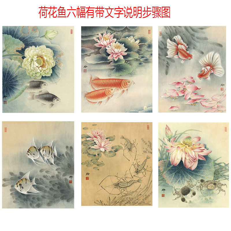 工笔画打印白描底稿郑玲玲荷花鱼带文字说明步骤图初学者临摹勾线