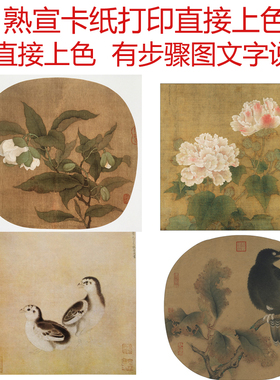 初学者临摹花鸟工笔画