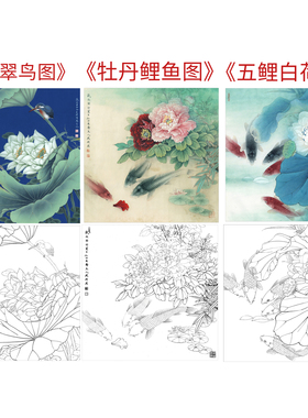 工笔画打印白描底稿李晓明斗方白荷翠鸟牡丹鲤鱼初学者临摹参考