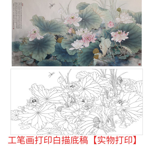 工笔画打印白描底稿横幅四尺荷花高清线描初学者临摹过稿创作参考