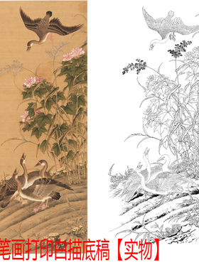 工笔画打印白描底稿清邱鉴芙蓉卢雁图高清线描大幅彩图初学者临摹