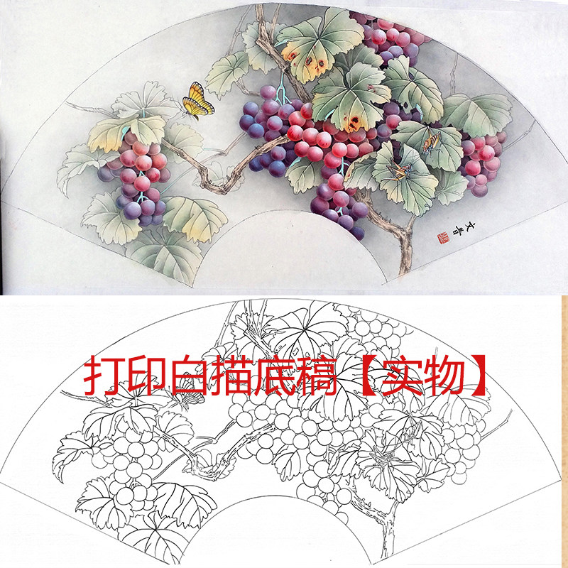 工笔画白描线稿素材扇面葡萄高清新图初学者临摹练习勾线宣纸过稿