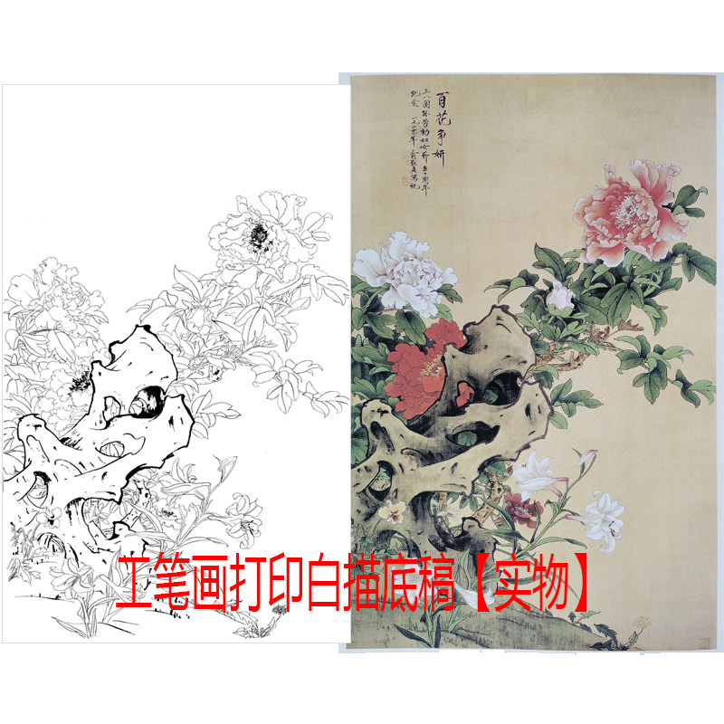 工笔画打印白描底稿高清线描线稿竖幅牡丹图百花争艳初学者临摹