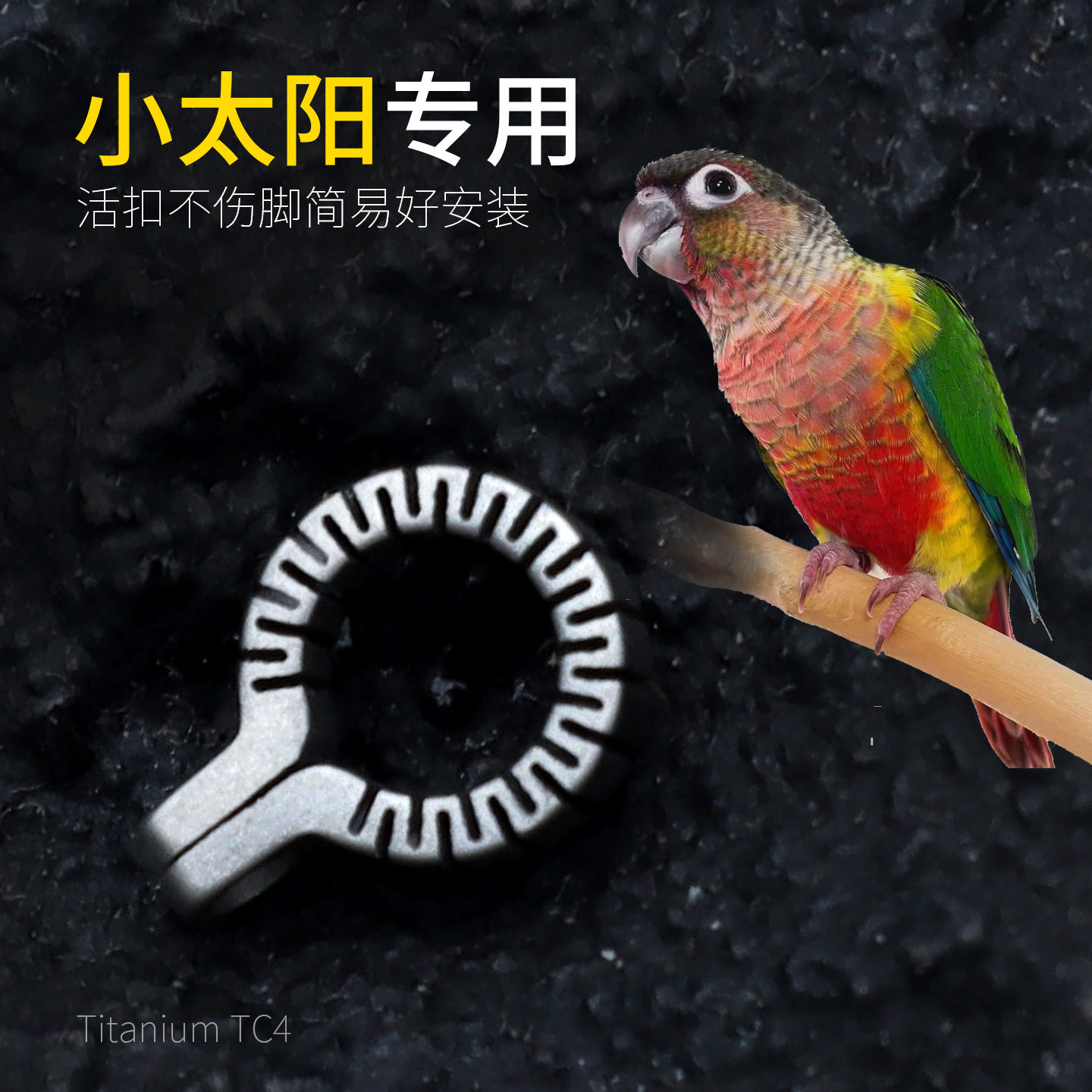 小太阳专用纯钛脚环钛脚链扣纯钛合金超轻脚链不伤脚鹦鹉脚环