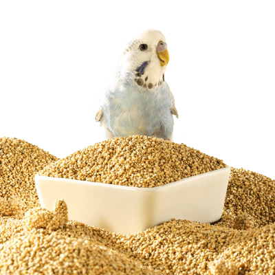 布卡星新黄谷子鸟粮鹦鹉饲料