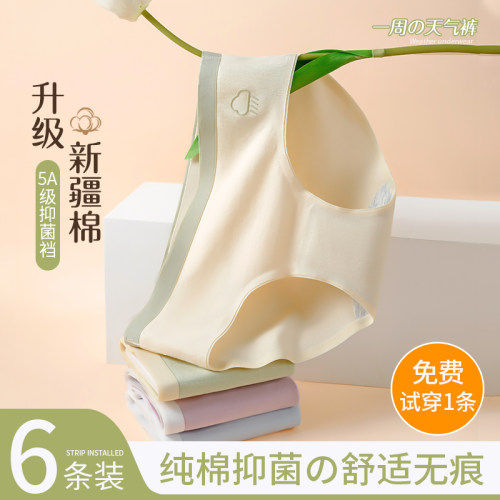 内裤女生纯棉抗菌100%全棉裆