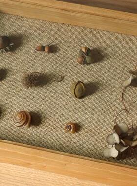 实木玻璃收纳盒展示盒植物昆虫高端标本盒 【木爻Craft】