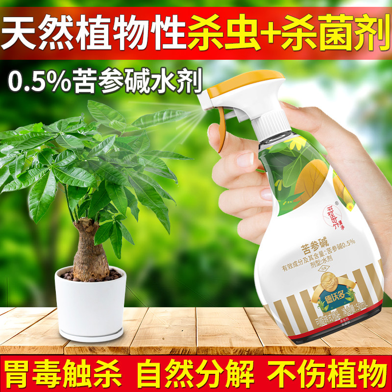 苦参碱光谱杀虫剂杀菌剂天然植物性农药防治蚜虫红蜘蛛白粉虱疫病