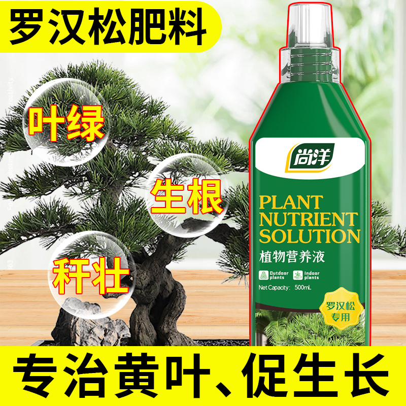 罗汉松肥料专用营养液盆景