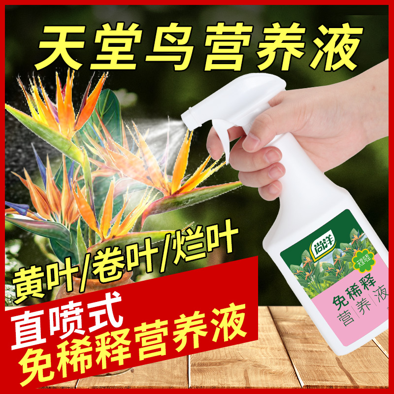 天堂鸟免稀释营养液直接喷