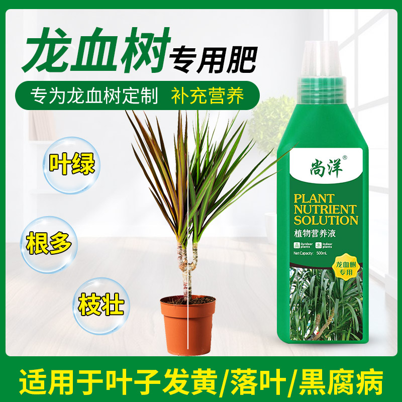 龙血树专用肥料营养液家用室内盆栽通用花肥龙须树复合肥盆景绿叶