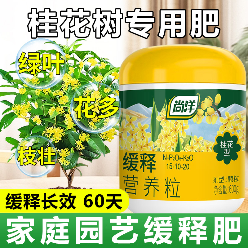 桂花树专用肥料缓释肥家用花肥料