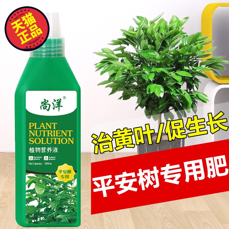 平安树专用肥料营养液家用室内养花肥料盆栽通用型氮磷钾复合肥