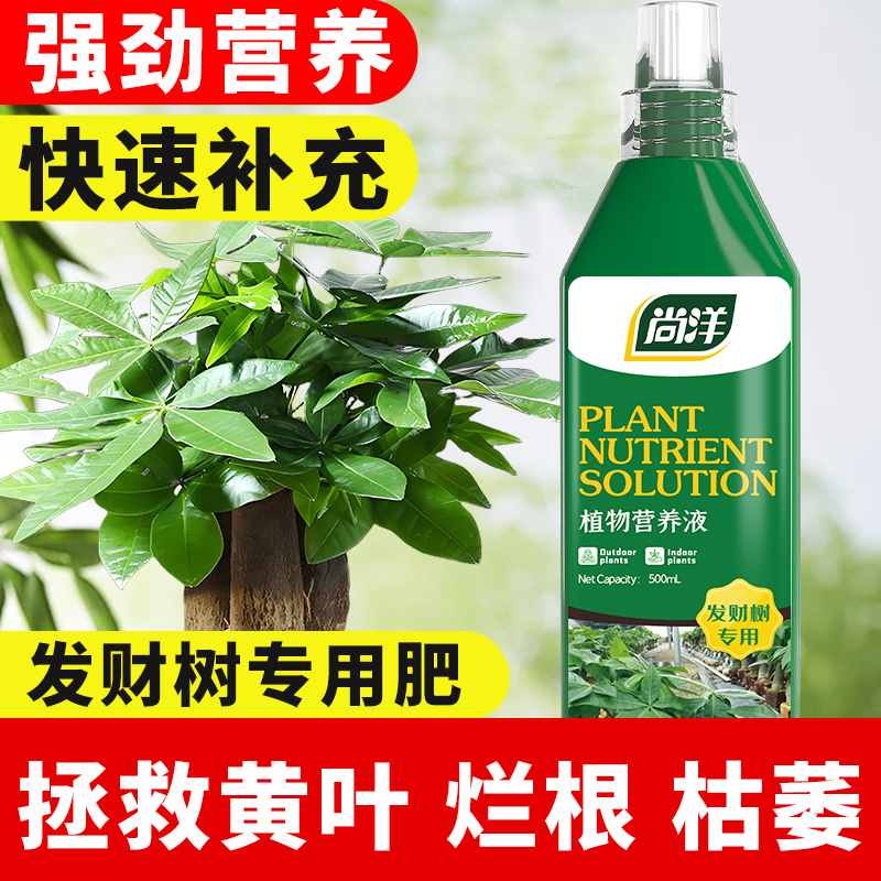 发财树专用营养液肥料专治黄叶