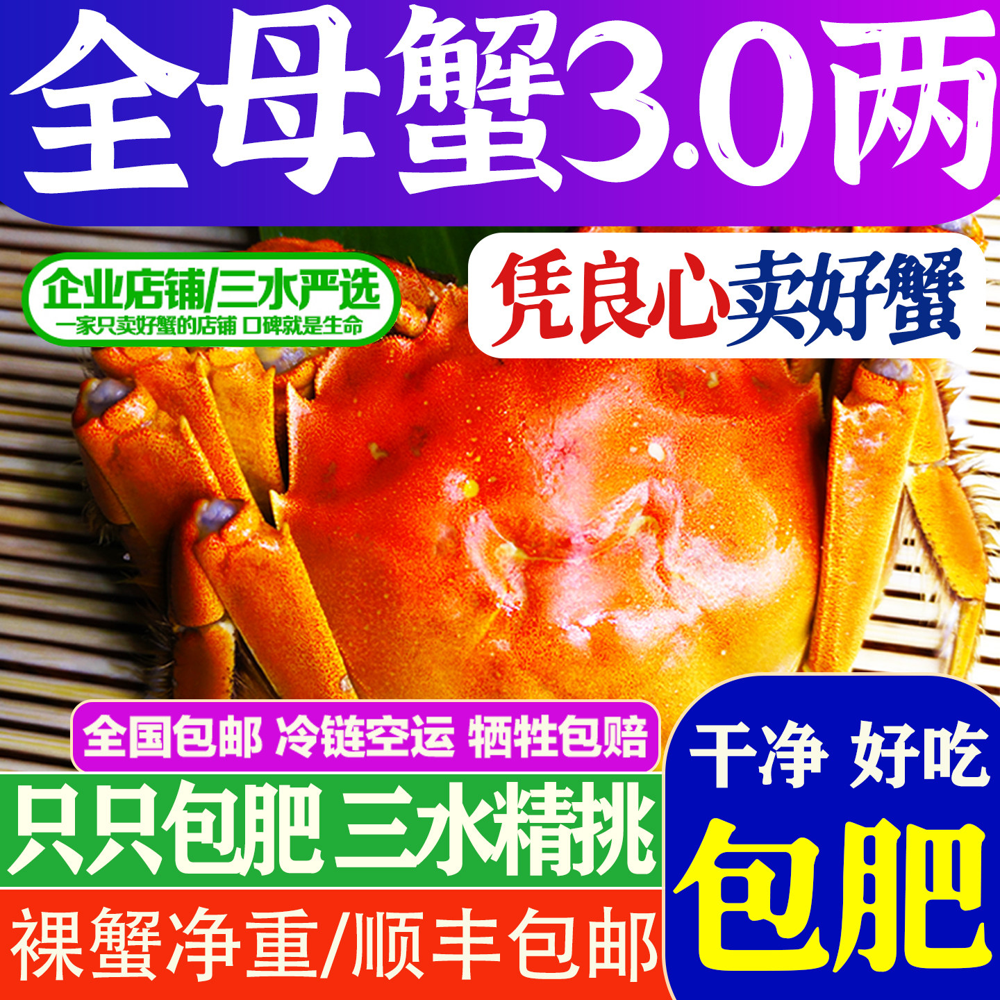 三水家大闸蟹全母蟹2.9-3.3两黄多8只净重鲜活螃蟹江苏洪泽湖活蟹