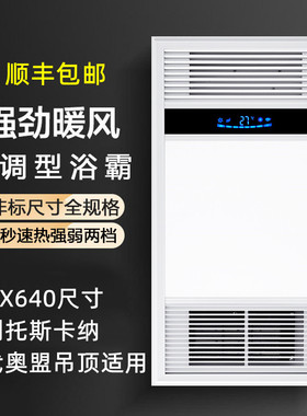 320*640集成吊顶LED灯风暖浴霸32X64时代奥盟托斯撕卡纳海创适用