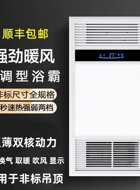 352X704菲林克客斯尺寸集成吊顶卫生间浴室LED多功能风暖机浴霸