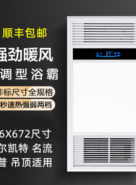 集成吊顶嵌入式多功能风暖浴霸