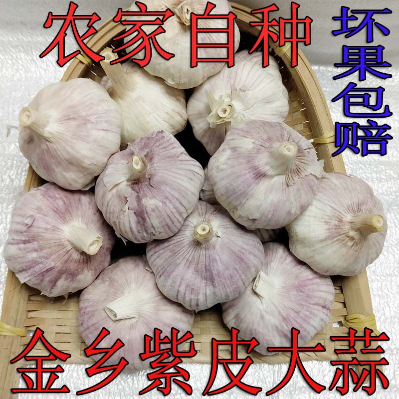 大蒜头干大蒜红皮富硒紫皮蒜新鲜干紫红白皮蒜米种子五斤低价包邮