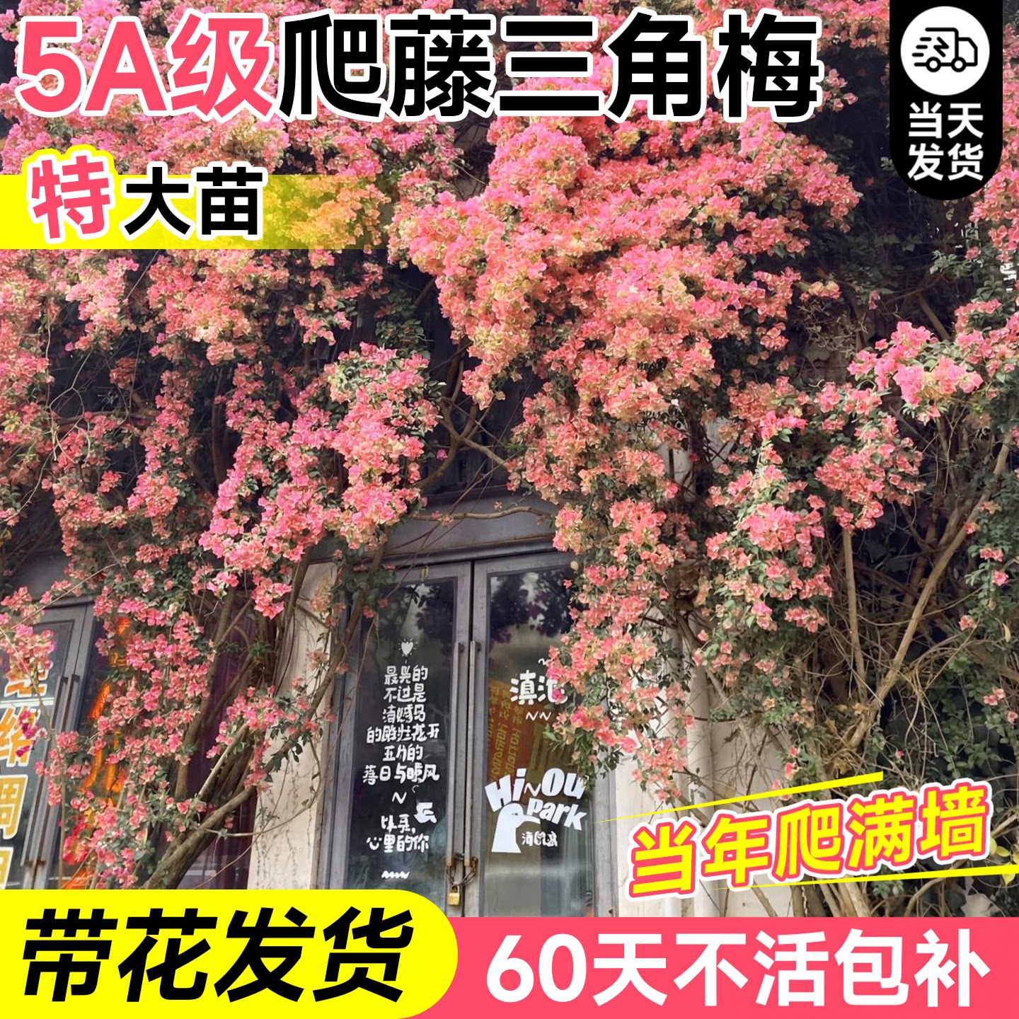 商品图